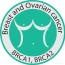 Breast and ovarian cancer